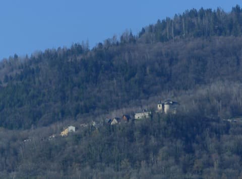 Couvreur Bonvillaret