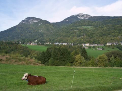 Couvreur Le Châtelard
