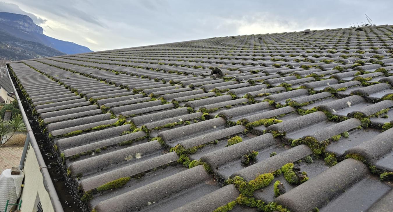 Nettoyage de toiture