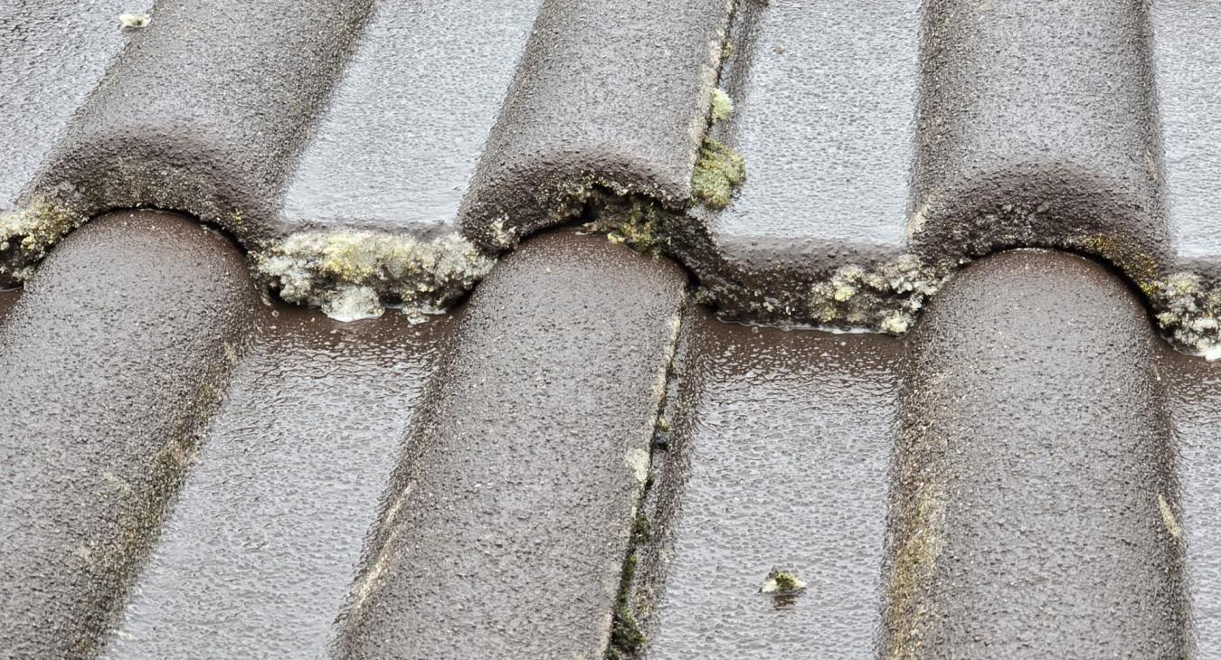 Nettoyage de toiture